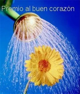 Premio Al Buen Corazon