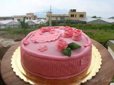 Torta della nascita