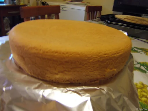 Il Pan di Spagna/Sponge cake