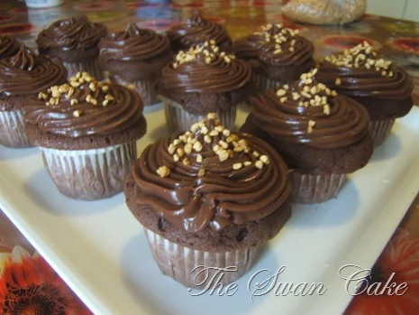 Chocolate cupcake