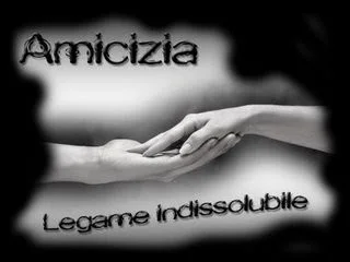 I miei premi