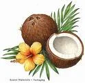 Noce di cocco