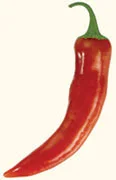 Il peperoncino